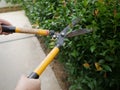 Peple worker cut tree