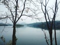 Peppara dam reservoir Thiruvananthapuram Kerala
