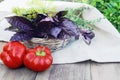 Pepper and basil on the table. A basket of fresh organic vegetables, local produce, just picked from the garden. Harvest Royalty Free Stock Photo