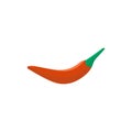 pepper chili with leavesvector illustration