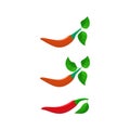 pepper chili with leavesvector illustration