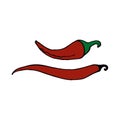 Pepper chili - mexican traditional vegetable. Hand drawn sketch doodle. Vector color illustration for menu, poster, web and Royalty Free Stock Photo
