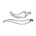 Pepper chili - mexican traditional vegetable. Hand drawn sketch doodle. Vector transparent illustration for menu, poster, web and Royalty Free Stock Photo