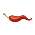 Pepper chili vector icon.Cartoon vector icon isolated on white background pepper chili .