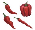 Pepper. culinary ingredient. dish product. restaurant menu and cafe.
