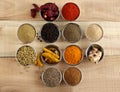 Pepper, Ginger, and other Indian Spices and their Powders to Flavor Food Royalty Free Stock Photo