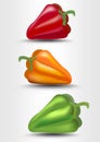 Pepper , green, yellow and red, photorealistic vector illustration with shadow on white background