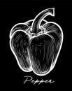 Pepper hand drawn black and white vector Royalty Free Stock Photo