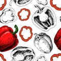 Pepper hand drawn vector seamless pattern. Vegetable engraved artistic style object Royalty Free Stock Photo