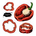 Pepper hand drawn vector set. Vegetable artistic style object, half and slices. Isolated bell pepper.