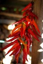 Pepper harvest