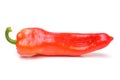 Pepper isolated on white Royalty Free Stock Photo