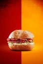 Pepper jelly burger with crispy bun in a colorful background - Isolated Royalty Free Stock Photo