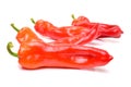 Pepper isolated on white Royalty Free Stock Photo