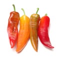 Pepper kapia Royalty Free Stock Photo