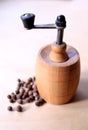 Pepper mill