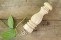 Pepper mill and leaves on wooden Royalty Free Stock Photo