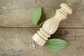 Pepper mill and leaves on wooden plank Royalty Free Stock Photo