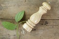 Pepper mill and leaves on wooden plank