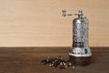 Pepper mill and peppercorn Royalty Free Stock Photo