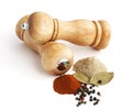 Pepper mill and spices Royalty Free Stock Photo