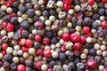 Pepper mix background Royalty Free Stock Photo