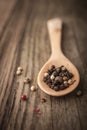 Pepper mix on the wooden spoon vertical Royalty Free Stock Photo