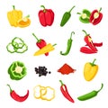 Pepper and paprika. Red, green and yellow sweet, hot and spicy peppers. Jalapeno, capsicum, cayenne and chili spice for Royalty Free Stock Photo