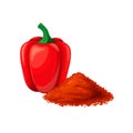 Pepper, paprika vector illustration.