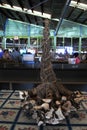 Pepper plant roots for sale in Fijian market