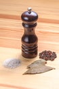 Pepper-pot salt bay Royalty Free Stock Photo