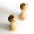 Pepper pot and salt shaker Royalty Free Stock Photo