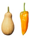 Pepper and pumpkin vegetables isolated over white