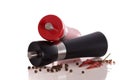 Pepper and salt mill Royalty Free Stock Photo