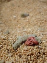 Pepper sand beach Royalty Free Stock Photo