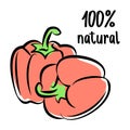 Pepper sketch logo. Vector illustration. Hand drawn illustration.