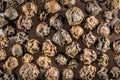 Pepper spice macro Royalty Free Stock Photo