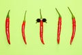 Red hot chili party funny concept of peppers Royalty Free Stock Photo