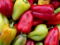 Pepper texture background. Bell pepper. Sweet pepper pattern. Paprika. Sweet fresh pepper Royalty Free Stock Photo