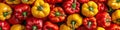 Pepper texture. Red and yellow paprika food pattern background. Group of horizontal vegetable Royalty Free Stock Photo