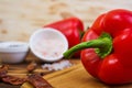 Pepper, tomato, salt, different spice on wooden background Royalty Free Stock Photo