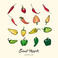 Pepper vector isolate set. Hand drawn illustration sweet bulgarian bell paprika capsicum chili red hot pepper icon logo Royalty Free Stock Photo