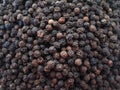 Peppercorn