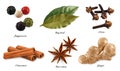 Peppercorn, bay leaf, dried cloves, cassia cinnamon, star anise and ginger root. 3d vector objects Royalty Free Stock Photo