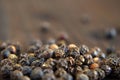 Peppercorns