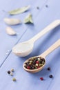 Peppercorns, sea salt in a wooden spoon Royalty Free Stock Photo