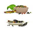Peppercorns spice mix in bowls set. Pepper seeds, organic herbal seasoning vector illustration