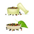 Peppercorns spice mix in in white ceramic mortar and bowl set. Pepper seeds, organic herbal seasoning vector