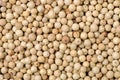 Peppercorns white feature Royalty Free Stock Photo