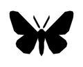 Peppered moth, Biston betularia . Vector icon on white